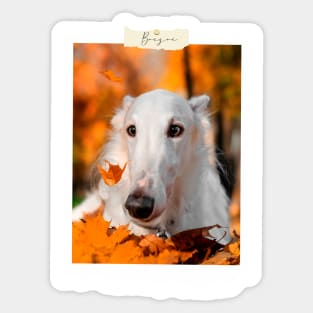 borzoi photo Sticker